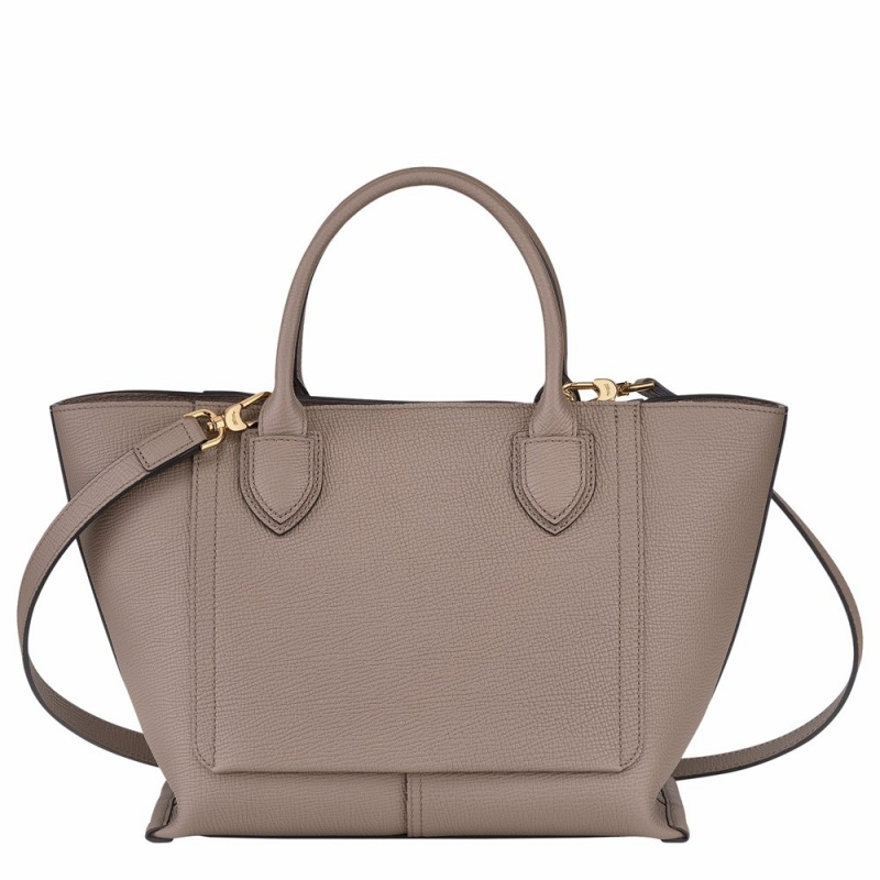 Grey Brown Longchamp Mailbox M Women's Handbags